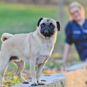 Meet your Posher, Ashleigh