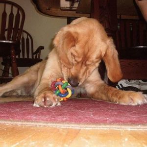 Meet your Posher, Bryan