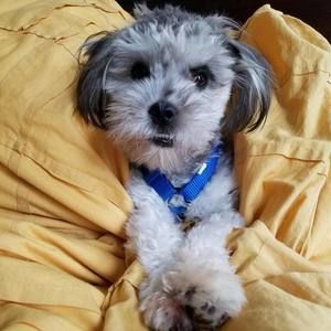 Meet your Posher, Carly