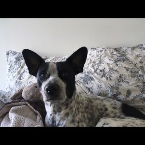 Meet your Posher, Jeffrey