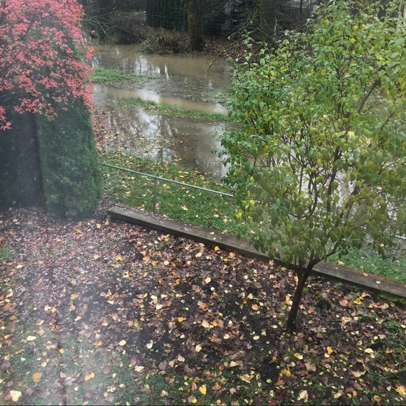 Meet your Posher, Ariel - Picture 1 of 1