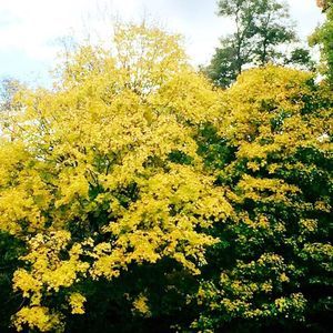 Meet your Posher, Chelsea