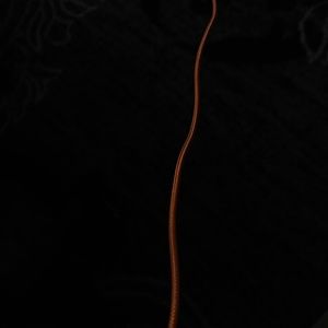 Meet your Posher, Clayton