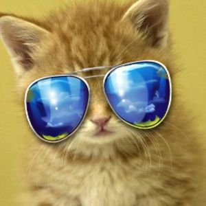 Meet your Posher, Chance