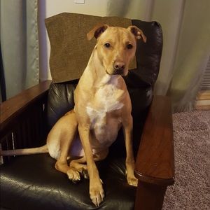 Meet your Posher, Brianna