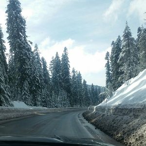 Meet your Posher, Angel