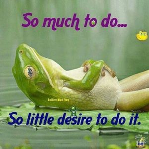 Meet your Posher, Sheril