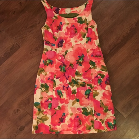 Anthropologie Olena Watercolor Shift Dress 00