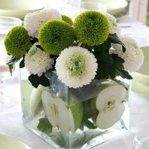 Meet your Posher, Kendra