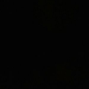 Meet your Posher, Bianca