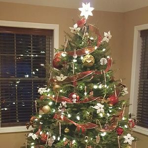 Meet your Posher, Kuntaer