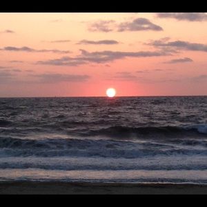 Meet your Posher, Vincent