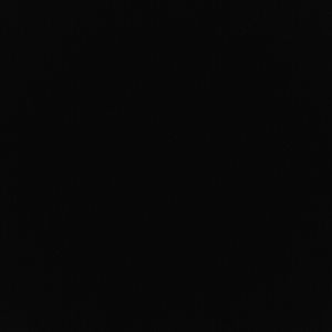 Meet your Posher, Ronnie