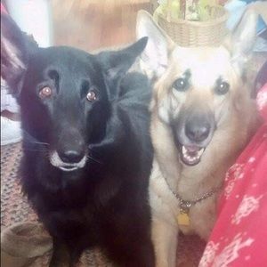 Meet your Posher, Frances ann