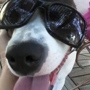 Meet your Posher, Cathy