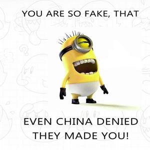 Meet your Posher, Sam