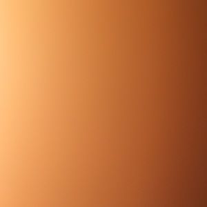 Meet your Posher, Alondra