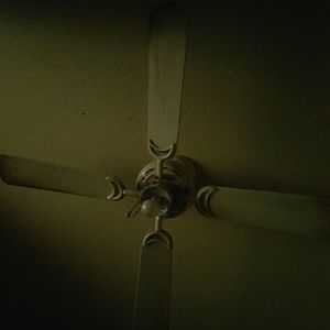 Meet your Posher, Melvi