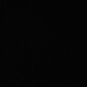 Meet your Posher, Jackson