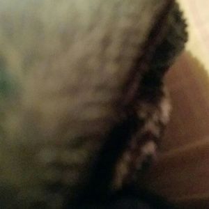 Meet your Posher, Jonelle