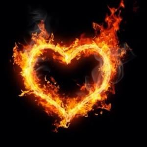 Meet your Posher, Toddrea