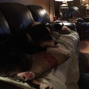 Meet your Posher, Deborah