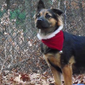 Meet your Posher, Nancy