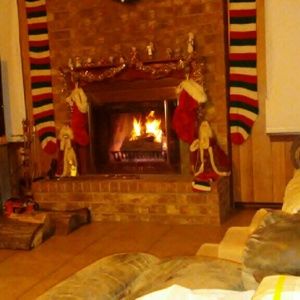 Meet your Posher, Hans