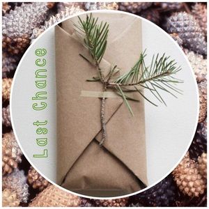 LAST CHANCE | Closing for the Holidays