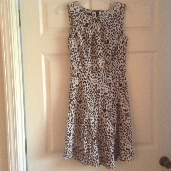 AB Studio size 6 animal print dress
