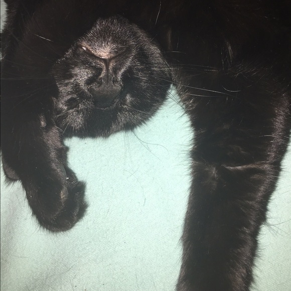 Bonjour et bienvenue! Welcome to my closet! 👋🏼 - Picture 6 of 6