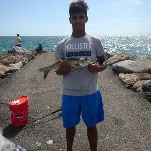 Meet your Posher, Alex