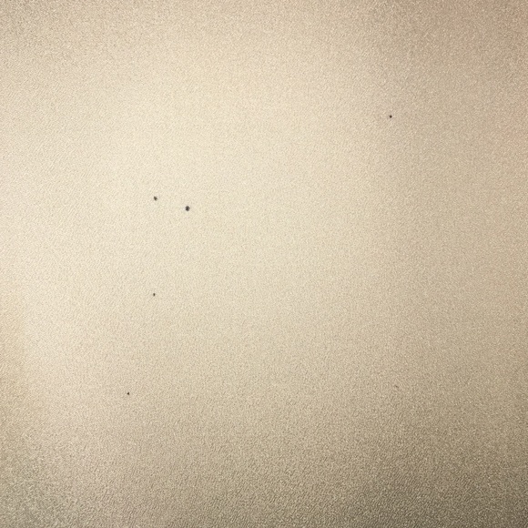 Open back tee - Picture 3 of 3