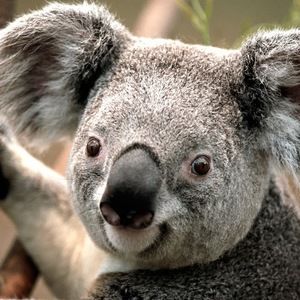 Meet your Posher, Gloria