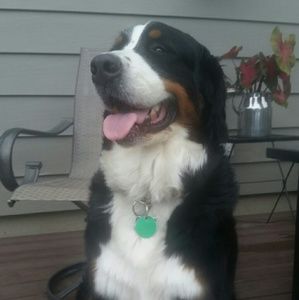 Meet your Posher, Debbie