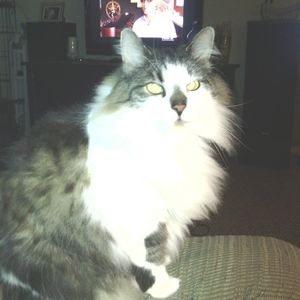 Meet your Posher, Kerry