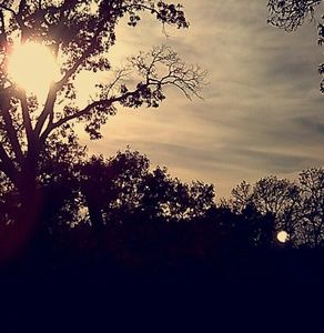 Meet your Posher, Ally