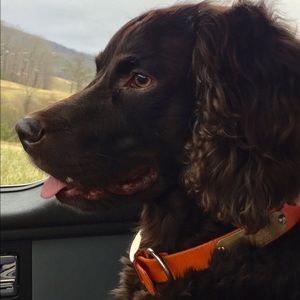 Meet your Posher, Michael