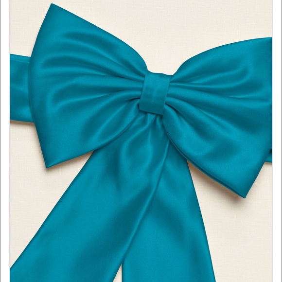 David Bridal Satin Flower Girl Sash with Back Bow