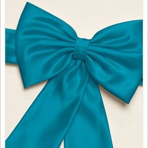 David Bridal Satin Flower Girl Sash with Back Bow