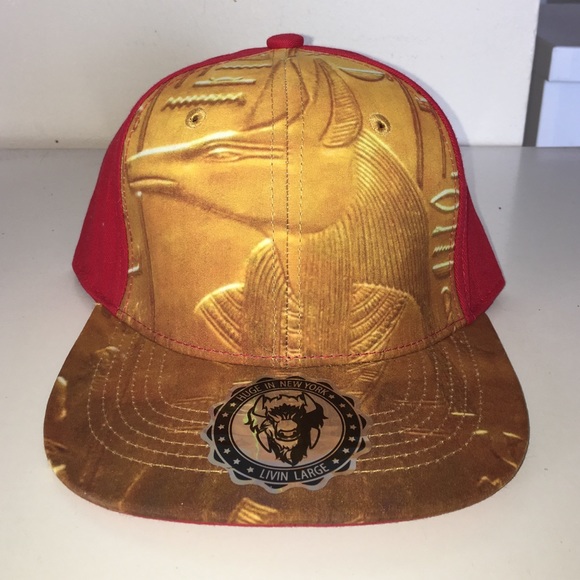 HUGE New York Egyptian printed cap