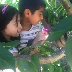 Meet your Posher, Sana