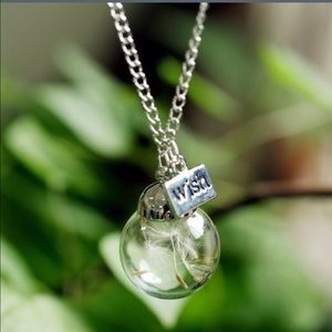 Wish necklace