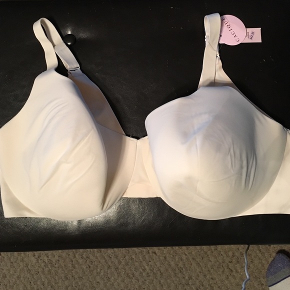 Cacique back smoothing plunge bra 46DDD