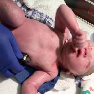 Meet your Posher, Haley