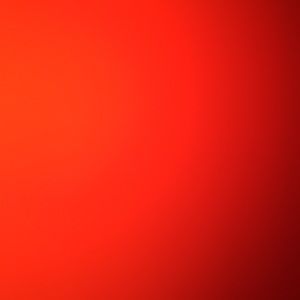 Meet your Posher, Allie