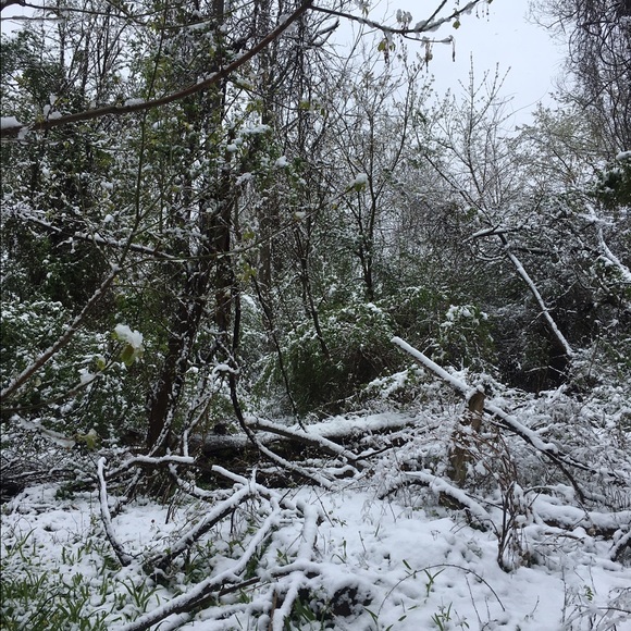 Meet your Posher, Gaby