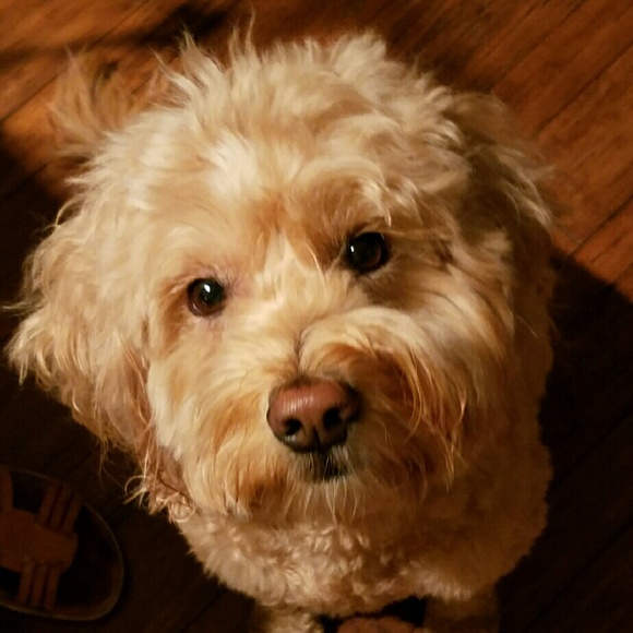 Meet your Posher, Sarah - Picture 1 of 1