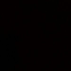 Meet your Posher, Selena