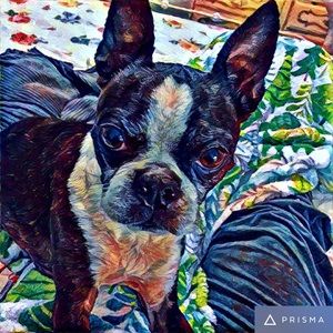 Meet your Posher, Sherry